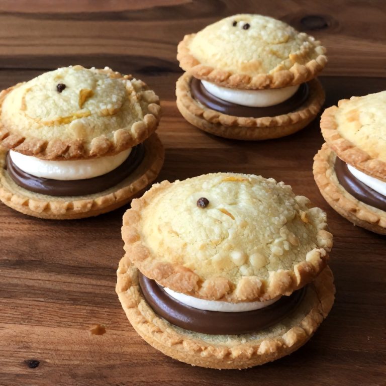 Easy S’mores Hand Pies